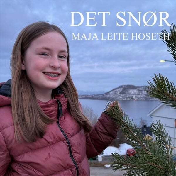 Cover art for Det snør